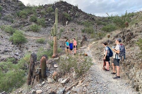 Begeleide gezinswandeling in Phoenix, Arizona | Kinderen 10 jaar en jonger gratis