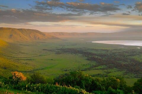 Heldags Ngorongoro Crater Adventure