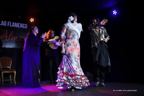 Tablao Flamenco Alma - Live Flamenco Show