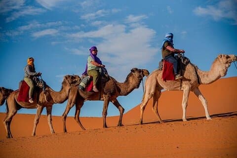 8 Days 7 Nights private tour Marrakech-Sahara Desert-Chefchaouen