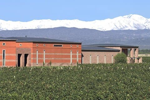 Tour privato di degustazione di vini Luján de Cuyo
