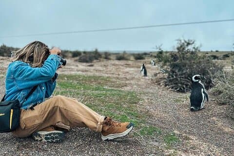 Excursión de día completo a la colonia de pingüinos en Punta Tombo + Gaiman desde Madryn