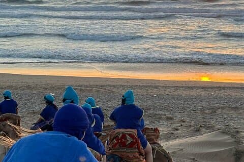 Vanuit Agadir of Taghazout : Kamelentocht bij zonsondergang met BBQ & muziekzaaien