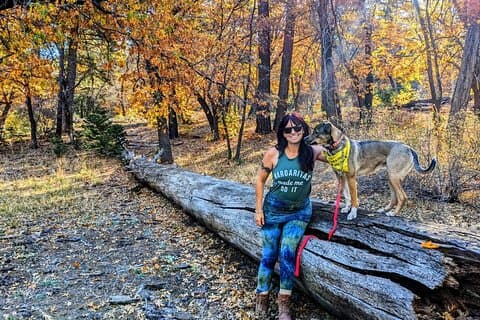 Big Bear Fall Colors-wandeltocht in Zuid-Californië