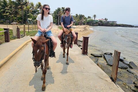 Tour in barca a cavallo e di vetro