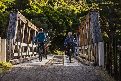 Remutaka Rail Trail- Wellington eBike Cruise Ship Shore Excursion