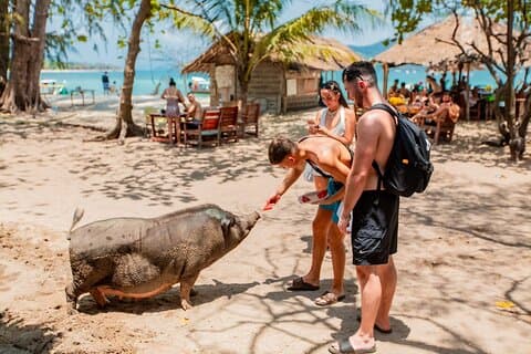Escursione di mezza giornata a Koh Tan e Pig Island in catamarano veloce