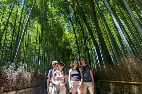 Privat tur i Arashiyama bambusskog med guide