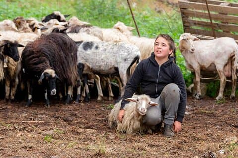 Tag mit dem Hirten und Mittagessen in Arzana