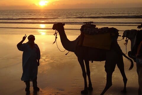 Dagstur på Dromedary och övernattning nära Essaouira Marocko