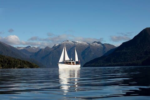 Croisière panoramique et promenade guidée sur le lac Te Anau en yacht à moteur historique