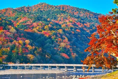 Kyoto Arashiyama: Fall Foliage Walking Tour【Autumn's limited】