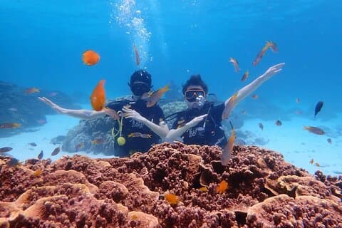 Scuba Diving at Racha and Coral Reefs with Picture and Video