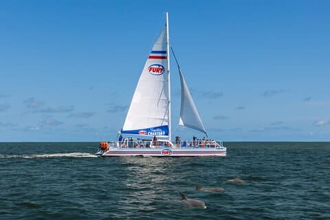 St. Augustine Dolphin Watch and Historical Harbor Tour