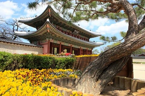 Auténtica Corea: tour de 6 días por el lado oeste de Corea