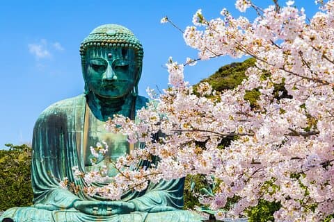 Depuis Tokyo : visite d'une journée complète à Kamakura, au sanctuaire Hachimangu et à Enoshima