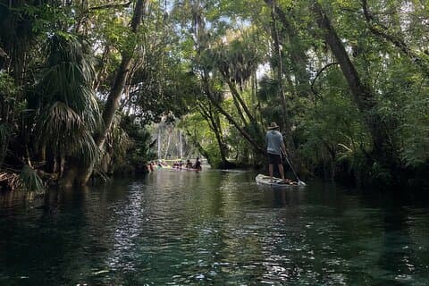 Guided Clear Kayak Tours on the Silver River