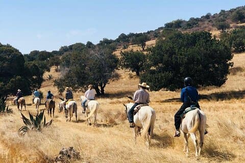 Ridning genom mexikanska Haciendas