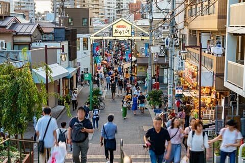 Tokyo: Yanaka Historic Streets Guided Tour & Asakura Museum Visit