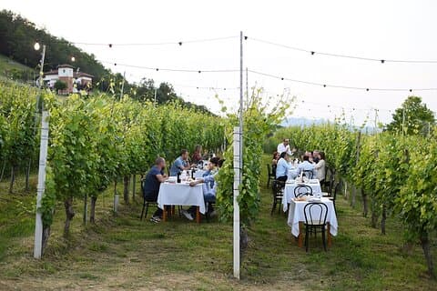 Guidet gåtur og frokost i vingården i Alba