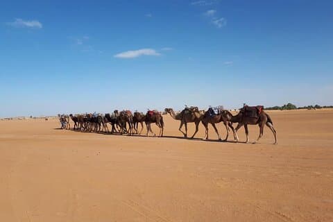 Excursão de 3 dias de Marrakech ao Deserto do Sahara