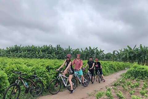 Excursão de bicicleta de meio dia em Hanói combina cidade e campo