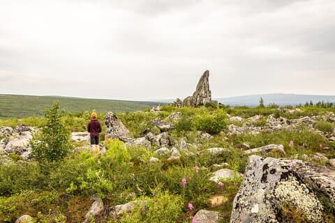 Privat rundtur i Arctic Circle Expedition från Fairbanks