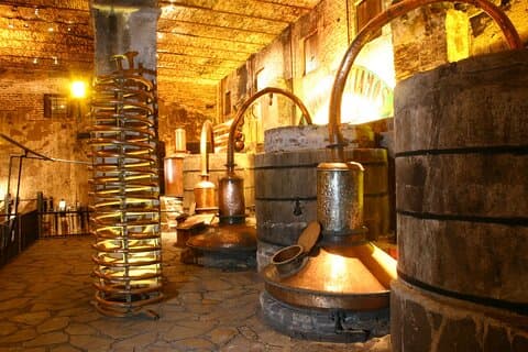 Une visite unique ! Visiter Hacienda Casa herradura De Guadalajara