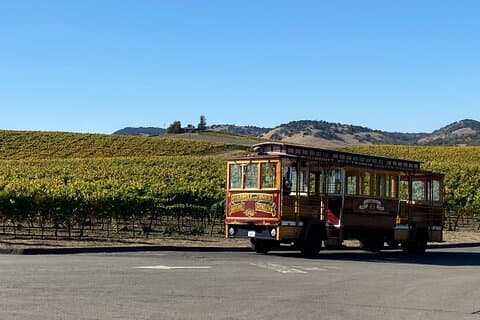 Tour Social de Vinhos com Tudo Incluído