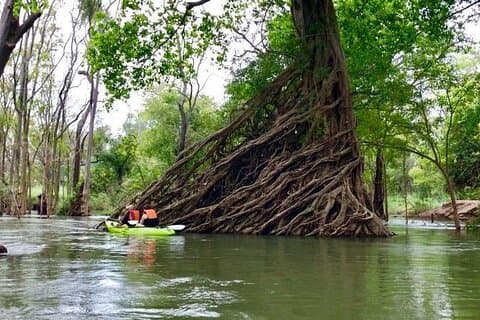 Stung Treng Canoeing In Mekong River