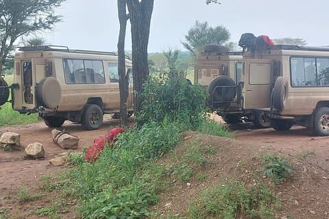 5-daagse camping Tarangire Serengeti Ngorongoro Krater en Maasai