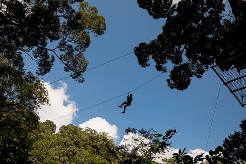 Aventura guiada en tirolina FH1 en Hanuman World