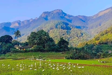 Kandy 360° Green Mountain-dag og halvdags bytur med Tuk Tuk