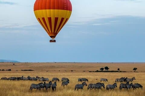 5Day Wild Heart Masai Mara, Nakuru and Naivasha Tour