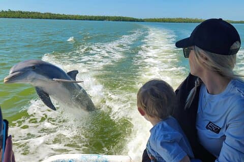 Visite des Everglades w / Biologist Led WET walk + 2 excursions en bateau + déjeuner!