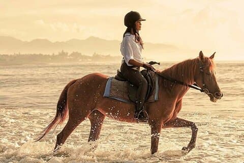 バリ島乗馬、滝、棚田、昼食-オールインクルーシブ