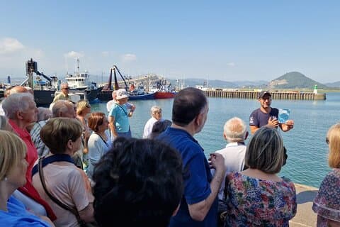 Tour por el Puerto y Lonja de Santoña y Museo de la Anchoa