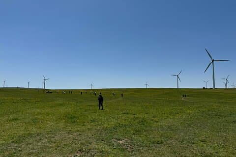 4D3N Huitengxile Grassland Wulanhada volcano Kubuqi Desert Tours