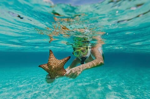 Roatán snorkeltour & dagpas voor West Bay Beach