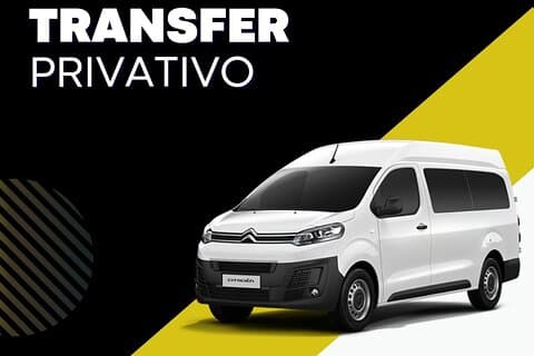 Transfer Minivan 8 places