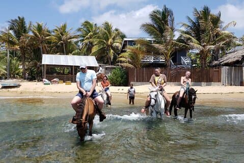 Roatan Combo Ausritt mit Zip Line Wildlife und Schnorchel