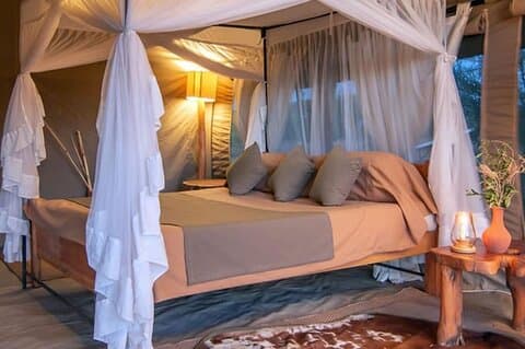 Safari Amboseli et Tsavo de 4 jours avec hébergement
