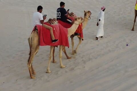 Private-Doha Horse Ride/Camel Ride/Quad Bike All Inclusive Tour