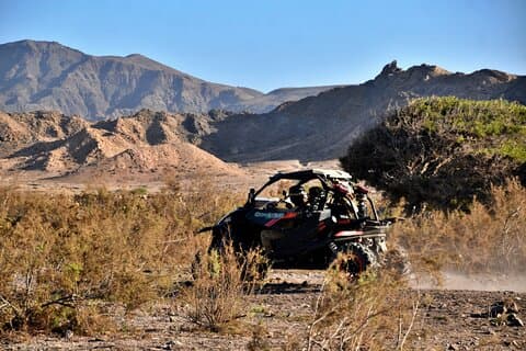 Boa Vista Buggy Tour: Death Valley Adventure (2-Hour)