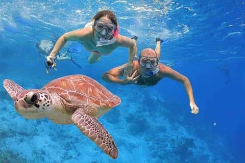Aventure de plongée avec tuba et de sports nautiques à Orange Bay à Hurghada