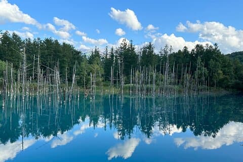Tour privado de Sapporo a Blue Pond & Shirahige Falls Furano