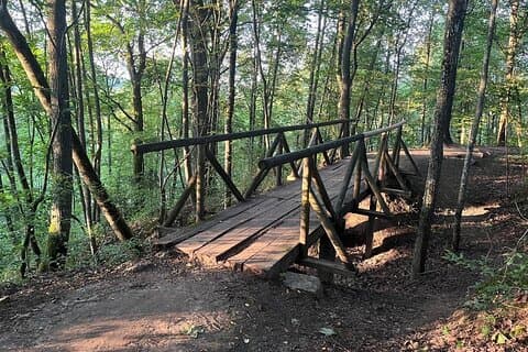 Naturflugt i regionalparken tæt på Vilnius