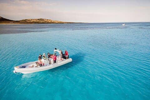 Von Stintino: RIB-Tour im Golf von Asinara