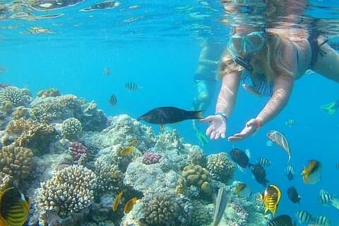 Snorkeltocht naar Orange Bay en Giftun-eilanden vanuit Hurghada