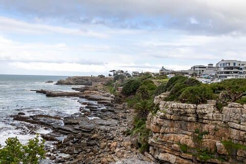 Privat heldagstur i Hermanus